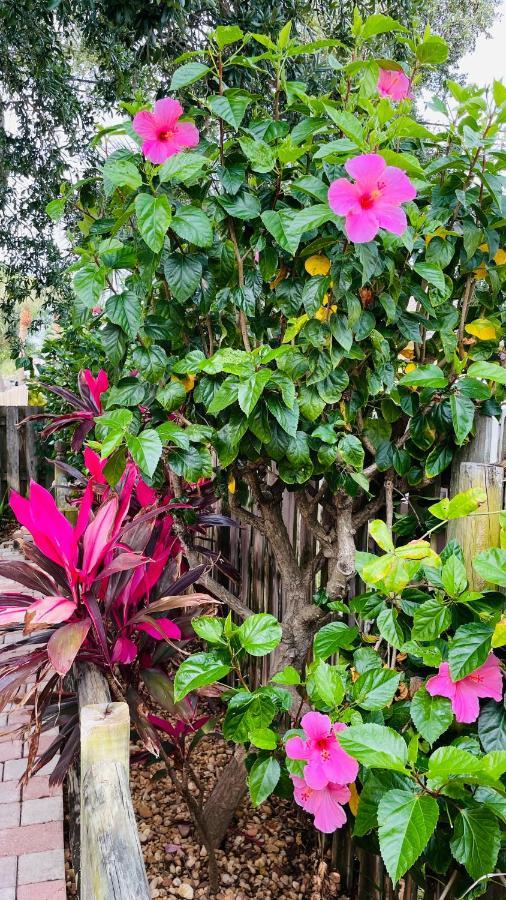 Casa Flamingo Βίλα Κέιπ Κανάβεραλ Εξωτερικό φωτογραφία
